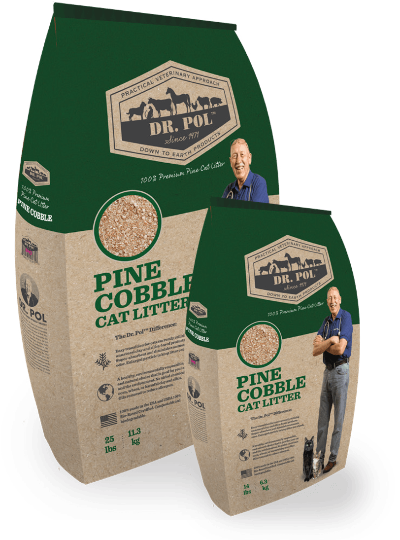 Exquisicat pine 2025 cobble litter